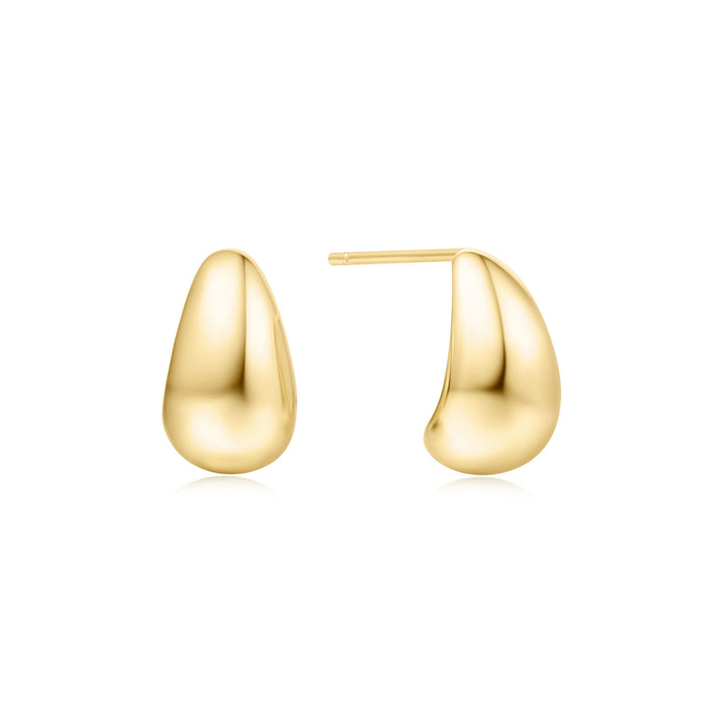 Ania Haie Voque Maven 925 Sterling Zilveren Oorbellen AH-E062-05G-zoom-