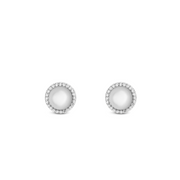 Daniel Wellington Audrey Mother of pearl Oorbellen DW00401417