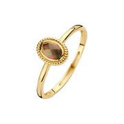 Blush 14 Karaat Gouden Ring 1239YBQ/52
